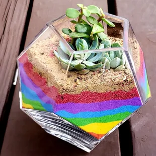 Rainbow Hexagon!