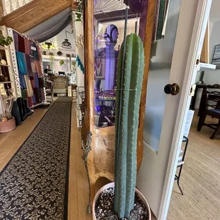 Interior hallway with a larger San Pedro