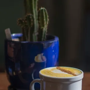 Lattes and Plants For Sale