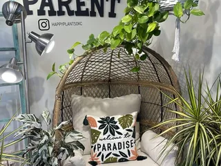 Happy Plants