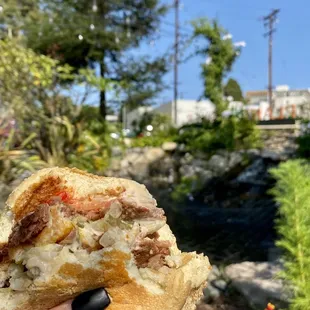 a hand holding a sandwich