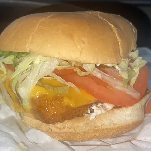 Fish Filet