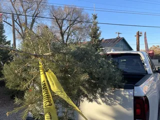 Garcia Family Christmas Trees