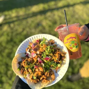plantaqueria