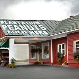 plantation peanuts of wakefield
