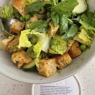 Spring Panzanella Salad