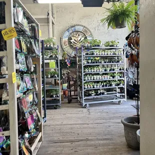 the inside of a store