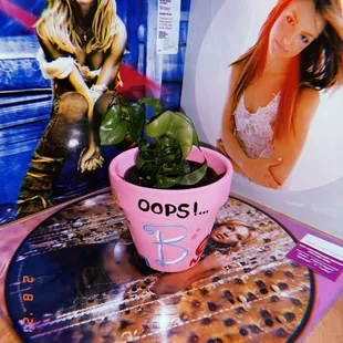 britney spears, icon pottery