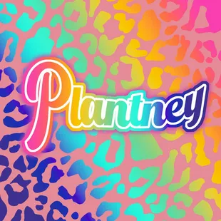 a stunning rainbow logo, staring the word "Plantney" in a nostalgic font, against a complimenting rainbow gradient leopard print moment.