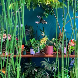 A corner of Plantoem