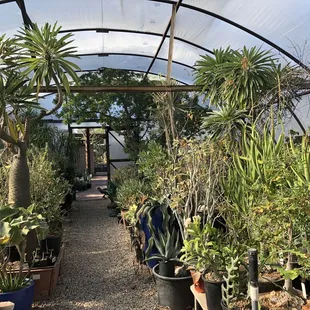 Remember to bring your self-control because they have so many great choices, it's hard to edit your selections!