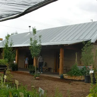 Plants of the Southwest