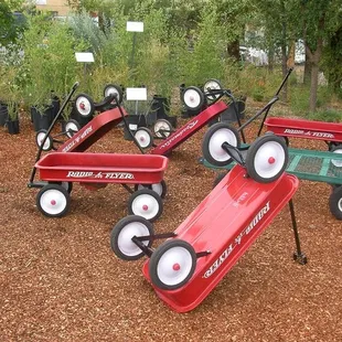 Plants of the Southwest