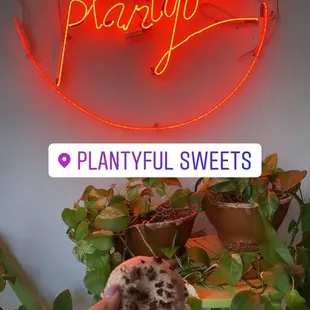 cookies n' creme cake donut