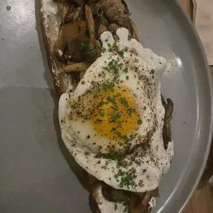 Wild Mushroom