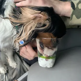 They have PUP CUPS!!!