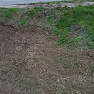 How they left my yard