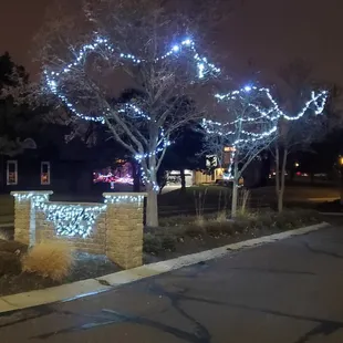 Who barfed on the tree?