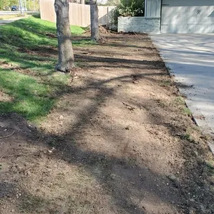 6' of dirt destroying my yard and a massive pile of roots left on the side of my house