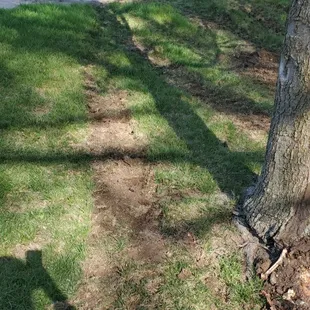 Grass destroyed. Ruts everywhere. Dirt caked onto sidewalk I had to use a shovel to clear off the driveway