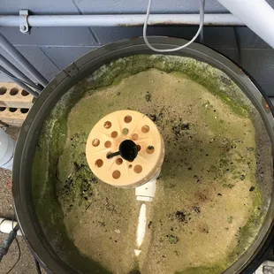 Sand Filter that needs a media change!