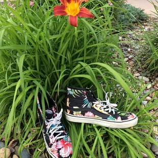 Loving these tropical vans