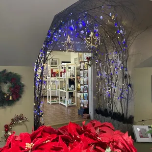 Decorated pathway at Christmas.