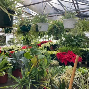 Christmas in the nursery.