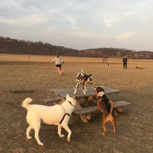 Platte Landing Park