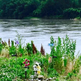 Nice touch from friends &amp; family.  6/9/18