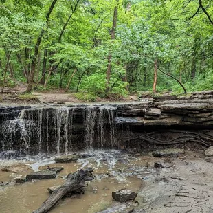 Instagram: @telephonesmoothie