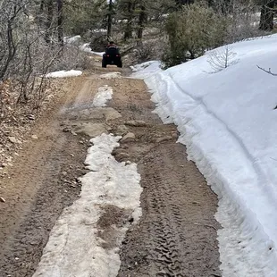 Terrain