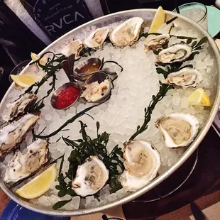 chef's daily oyster selection