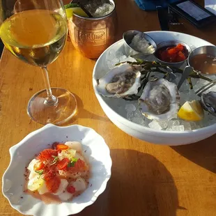 Scallop crudo + Shikat and kushii oysters