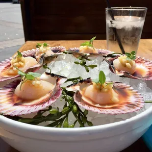 Peruvian Scallops rock!