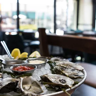 oysters and mussels, mussels, food, oysters, shellfish