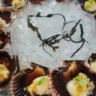 Peruvian Scallops