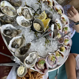 Raw Oysters