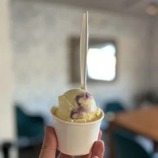 Corn and Blueberry ice cream