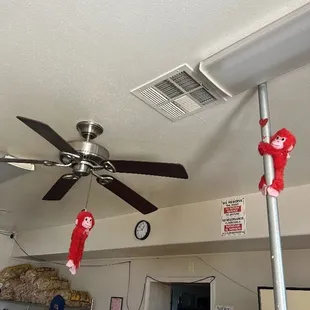 A good place to hang