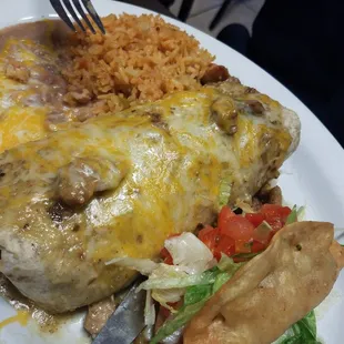 Chile Verde Burrito