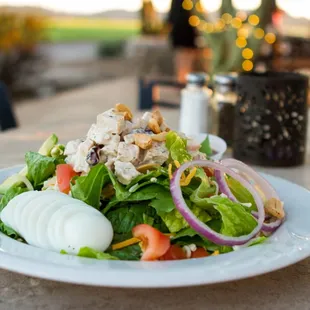 Scooper Salad with Chicken Salad, Hard Boiled Eggs, Avocado, and a Basalmic Dressing