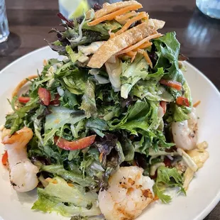 Sesame ginger salad