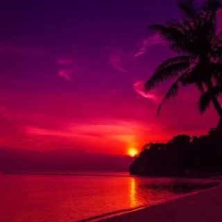 Lost Dreams ..