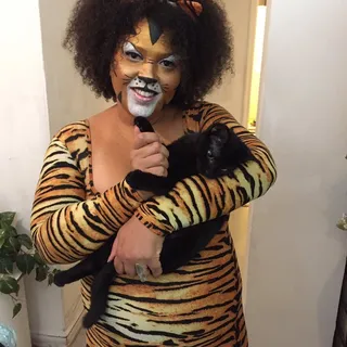 Pata L.
