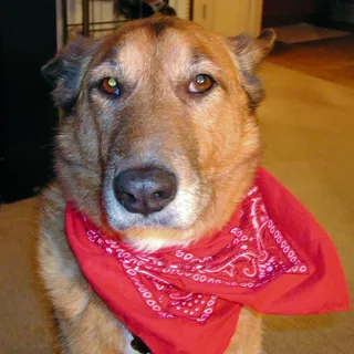 Ben M.