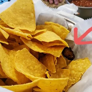 Old food mixed in chips.