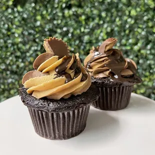 two chocolate cupcakes with peanut butter frosting