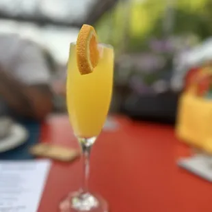 Mimosa