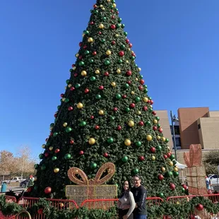 Christmas tree is up!